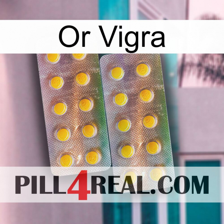 Gold Vigra new10